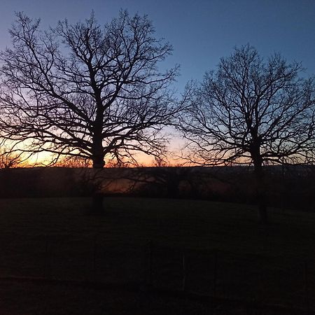 Gite L'Esprit Nature Villa Naucelle Dış mekan fotoğraf