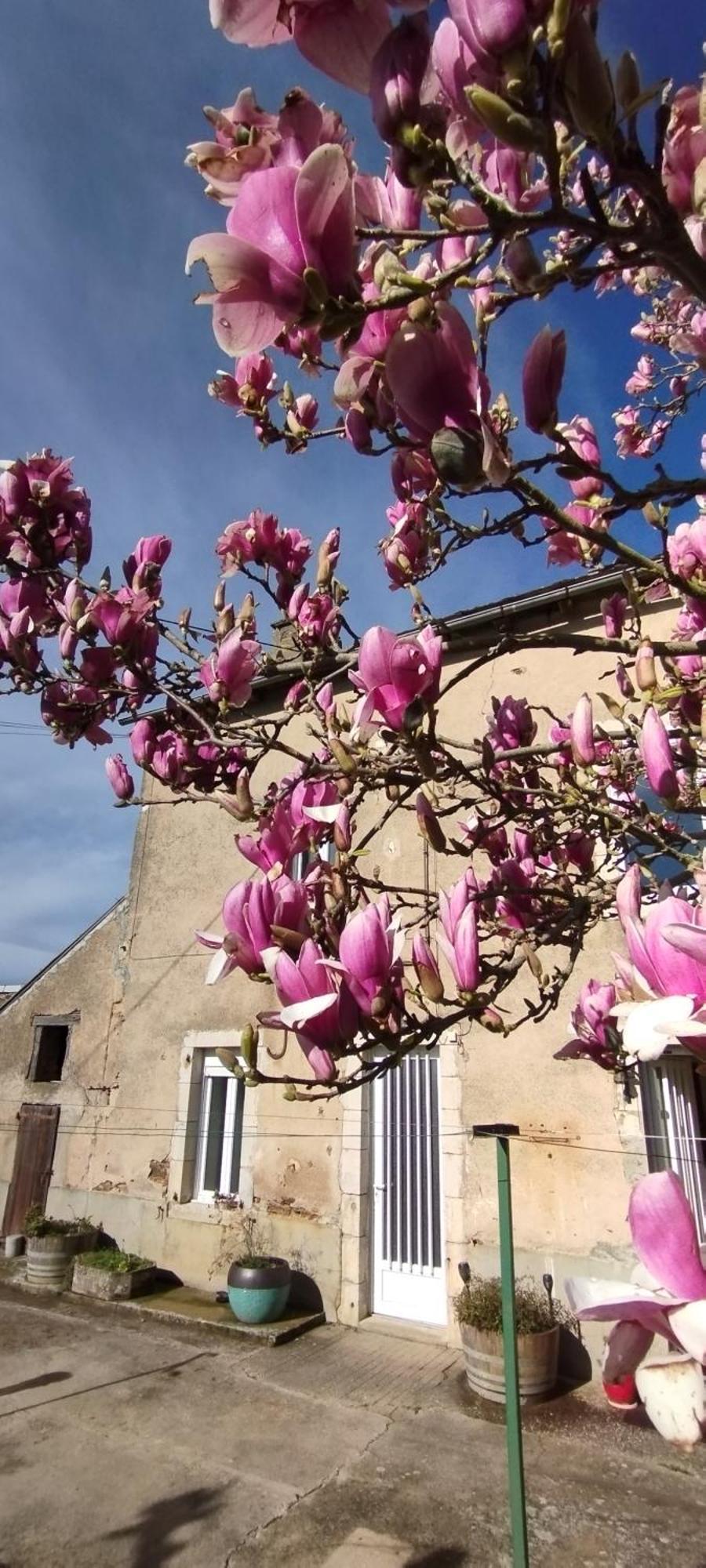 Gite L'Esprit Nature Villa Naucelle Dış mekan fotoğraf