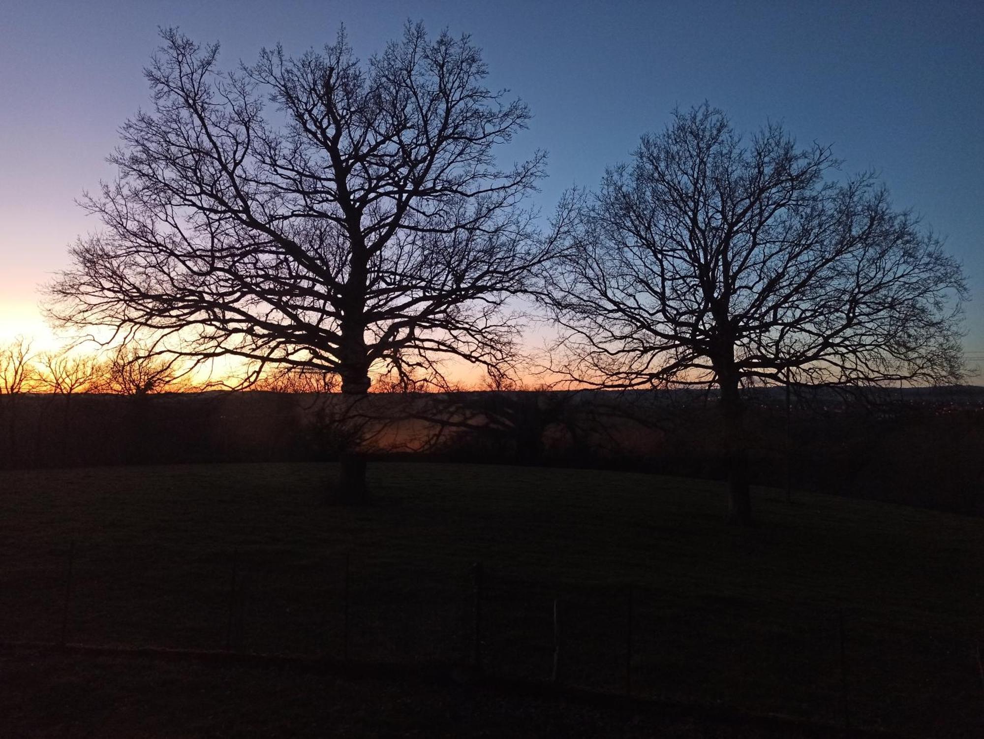 Gite L'Esprit Nature Villa Naucelle Dış mekan fotoğraf